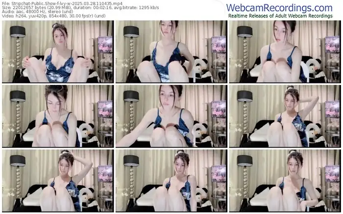 2025/03/28/stripchat-lvy-w-11-04-35