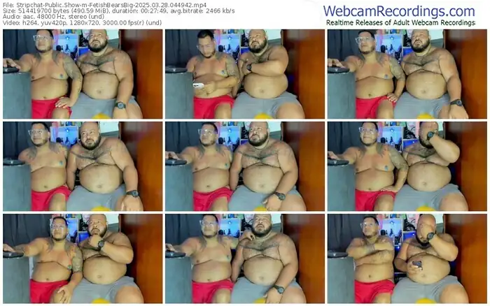 2025/03/28/stripchat-fetishbearsbig-04-49-42