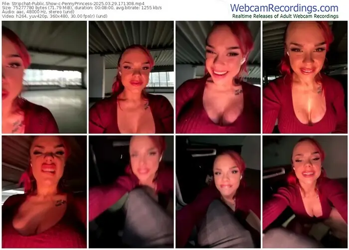 2025/03/29/stripchat-pennyprincess-17-13-08