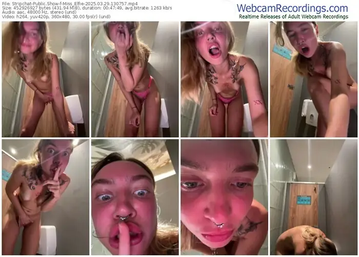 2025/03/29/stripchat-miss_elfie-13-07-57