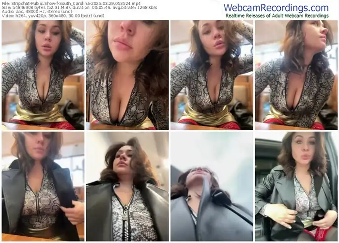 2025/03/29/stripchat-south_carolina-05-35-24