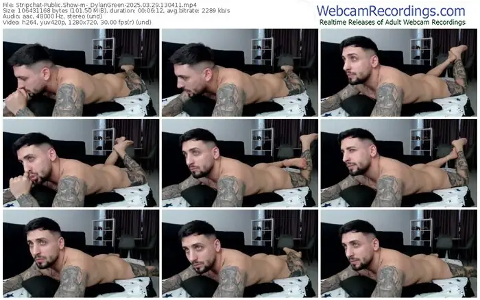 2025/03/29/stripchat-_dylangreen-13-04-11