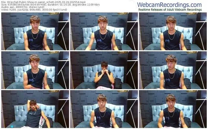 2025/03/29/stripchat-aaron_schott-20-25-54