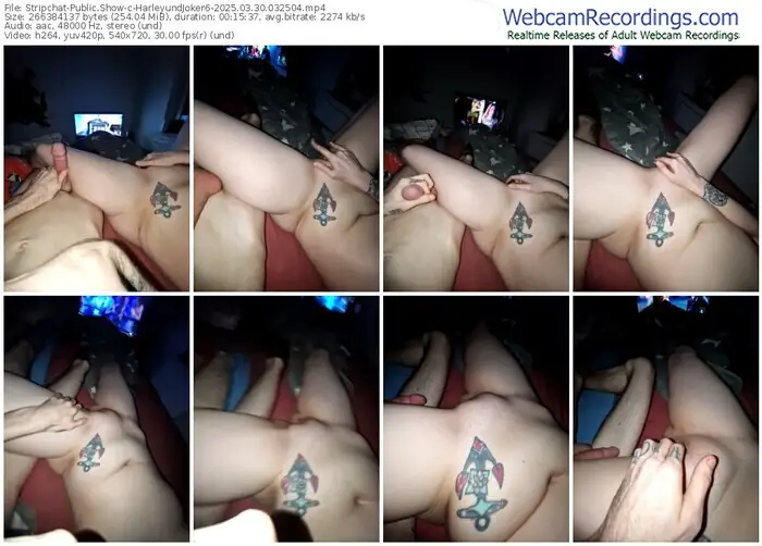 2025/03/30/stripchat-harleyundjoker6-03-25-04