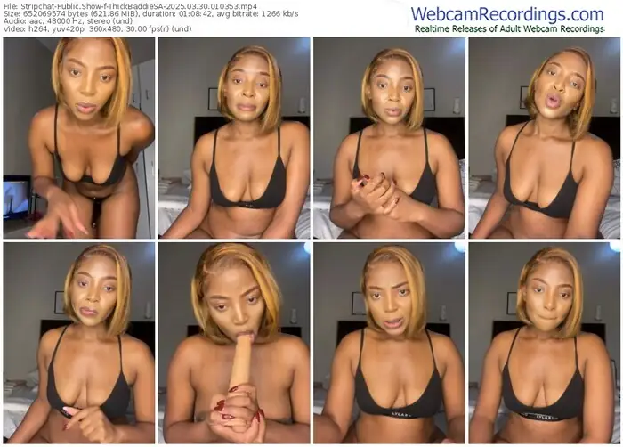 2025/03/30/stripchat-thickbaddiesa-01-03-53