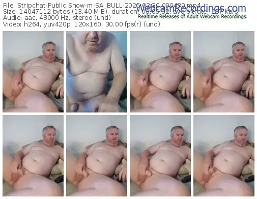 2025/03/30/stripchat-sa_bull-09-04-30