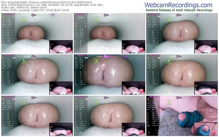 2025/03/30/stripchat-controlmytoys-19-39-00