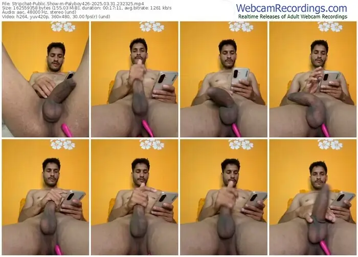2025/03/31/stripchat-palyboy426-23-23-25