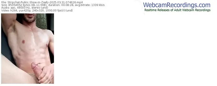 2025/03/31/stripchat-zeefy-07-46-26