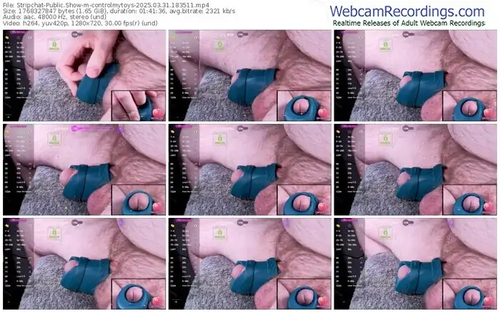 2025/03/31/stripchat-controlmytoys-18-35-11