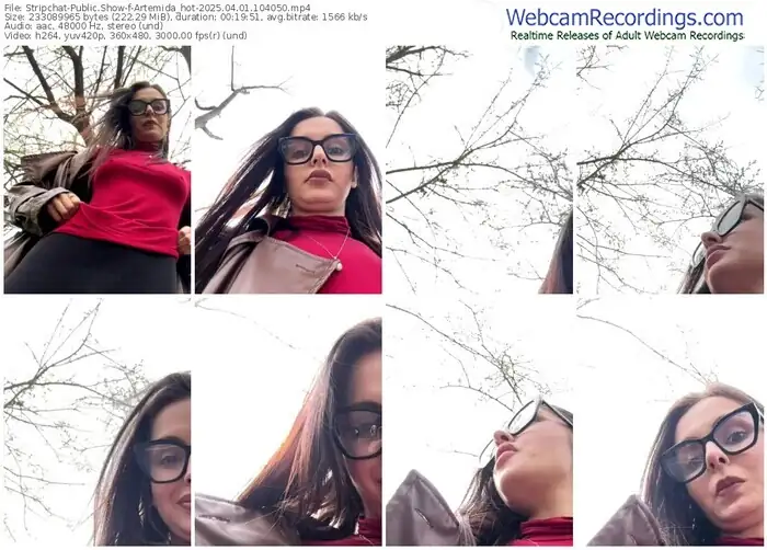 2025/04/01/stripchat-artemida_hot-10-40-50