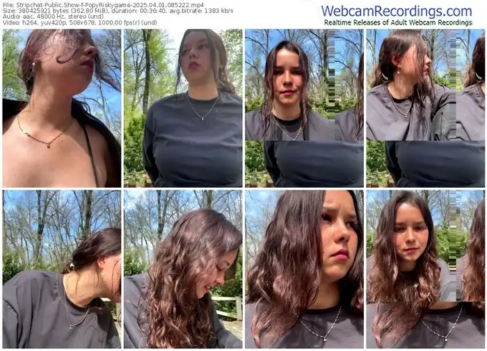 2025/04/01/stripchat-popyriskygame-08-52-22