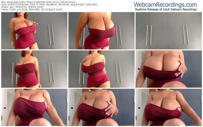 2025/04/01/stripchat-katt008-06-54-53