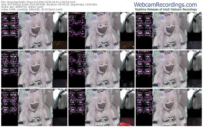 2025/04/01/stripchat-z23002-13-41-52