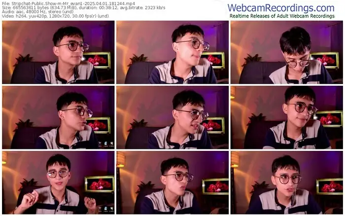 2025/04/01/stripchat-mr_evan1-18-12-44