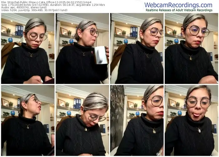 2025/04/02/stripchat-cata_office-12-15-52-13
