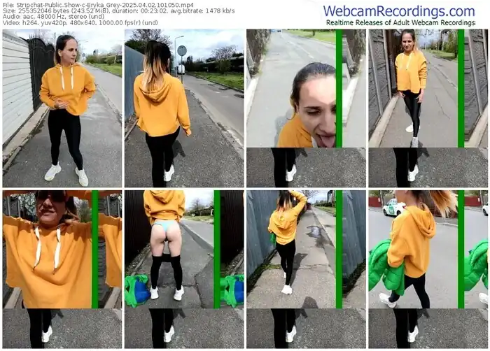 2025/04/02/stripchat-eryka_grey-10-10-50