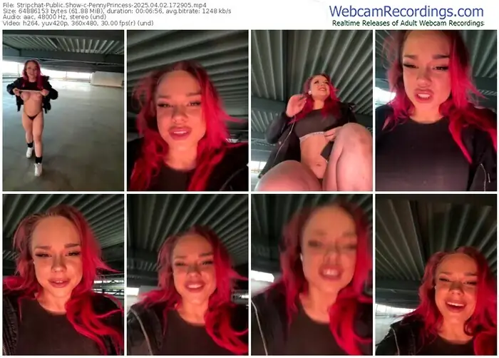 2025/04/02/stripchat-pennyprincess-17-29-05