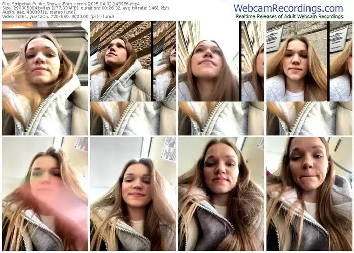 2025/04/02/stripchat-porn_cornn-14-39-56