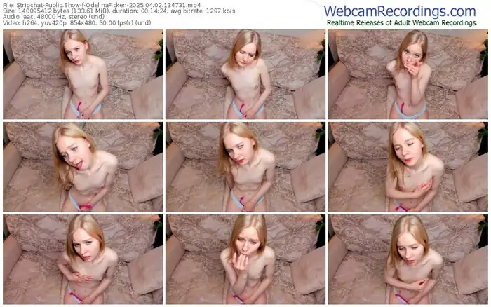 2025/04/02/stripchat-odelinaficken-13-47-31