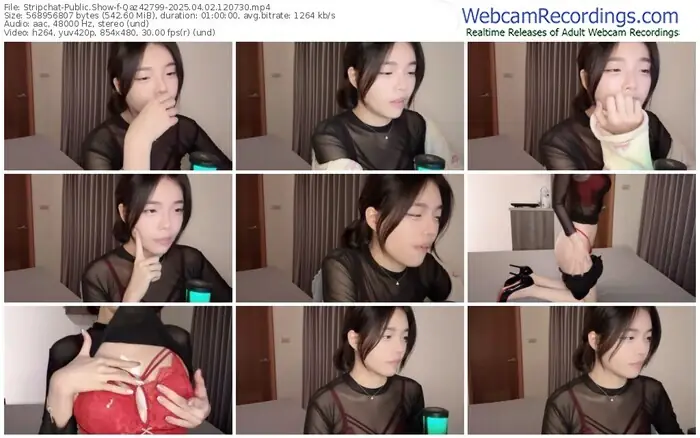 2025/04/02/stripchat-qaz42799-12-07-30