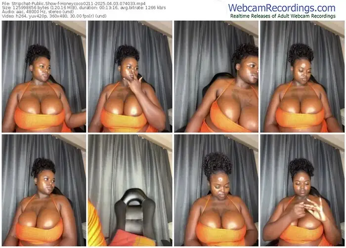 2025/04/03/stripchat-honeycoco0211-07-40-33