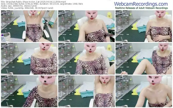 2025/04/04/stripchat-kor_cat-11-25-58
