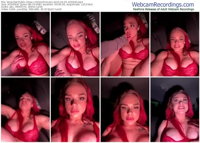 2025/04/05/stripchat-pennyprincess-22-55-08
