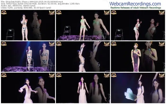 2025/04/05/stripchat-xmh100-06-04-40