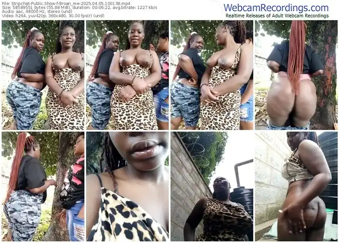 2025/04/05/stripchat-broan_me-10-01-38