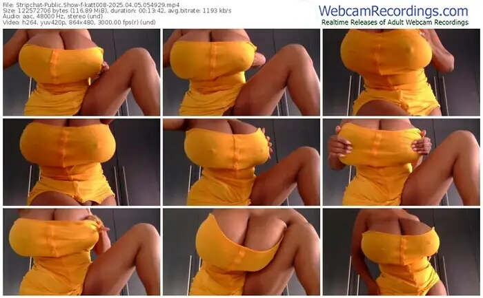2025/04/05/stripchat-katt008-05-49-29