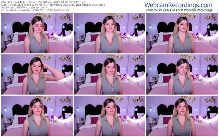 2025/04/06/stripchat-zarabloom-22-22-12