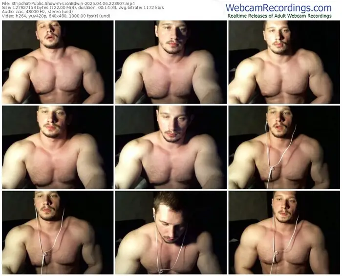 2025/04/06/stripchat-lionedwin-22-39-07