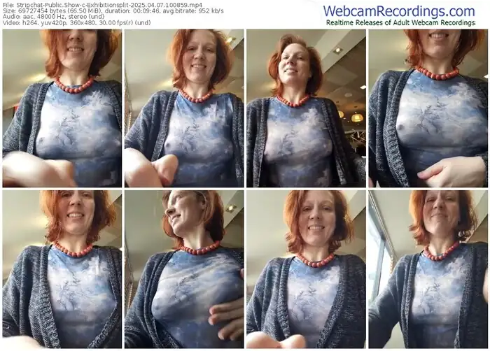 2025/04/07/stripchat-exhibitionsplit-10-08-59