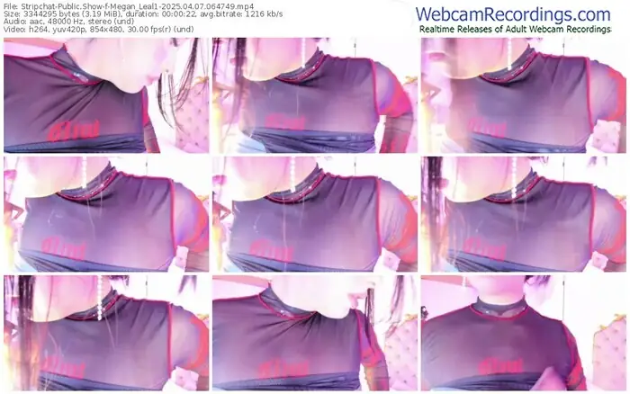 2025/04/07/stripchat-megan_leal1-06-47-49
