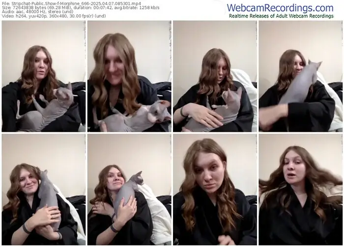 2025/04/07/stripchat-morphine_666-08-53-01