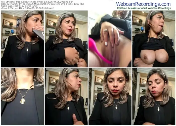 2025/04/08/stripchat-cata_office-12-20-16-36
