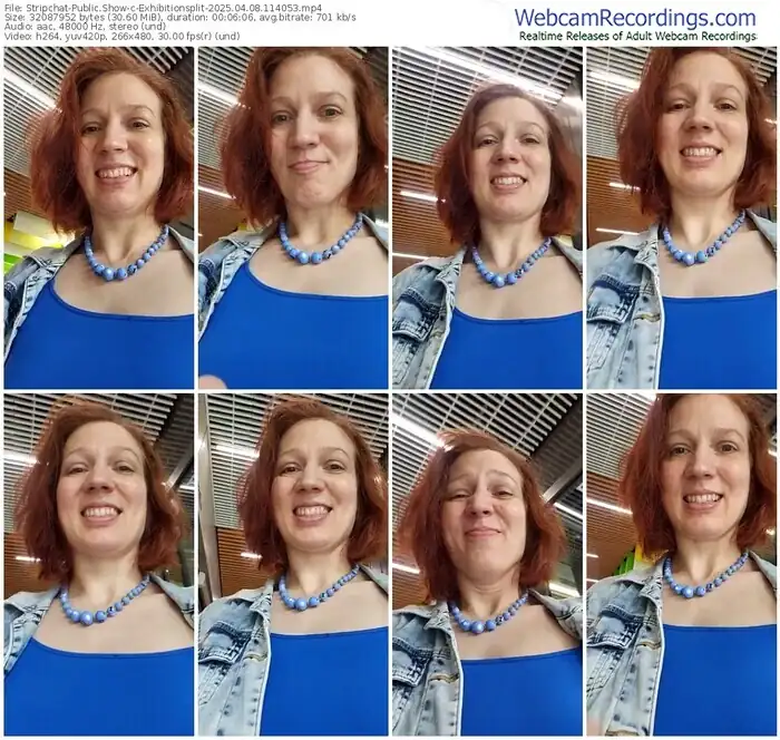 2025/04/08/stripchat-exhibitionsplit-11-40-53