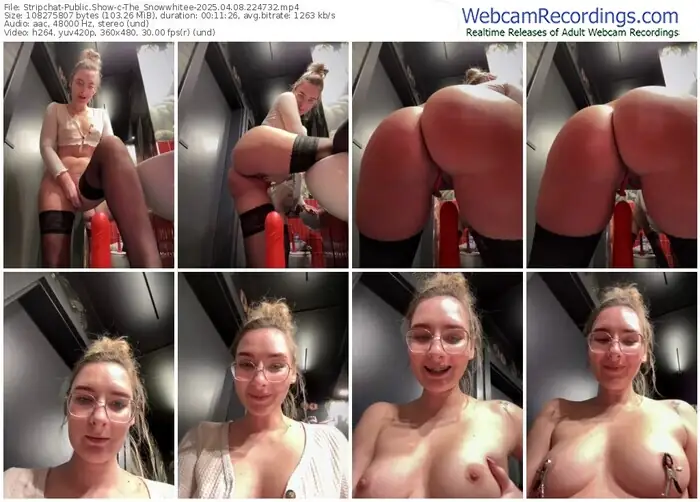 2025/04/08/stripchat-the_snowwhitee-22-47-32