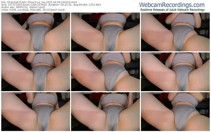 2025/04/08/stripchat-liz_hu-16-43-19