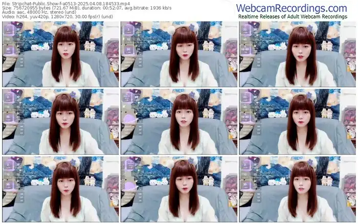 2025/04/08/stripchat-a0513-18-45-33