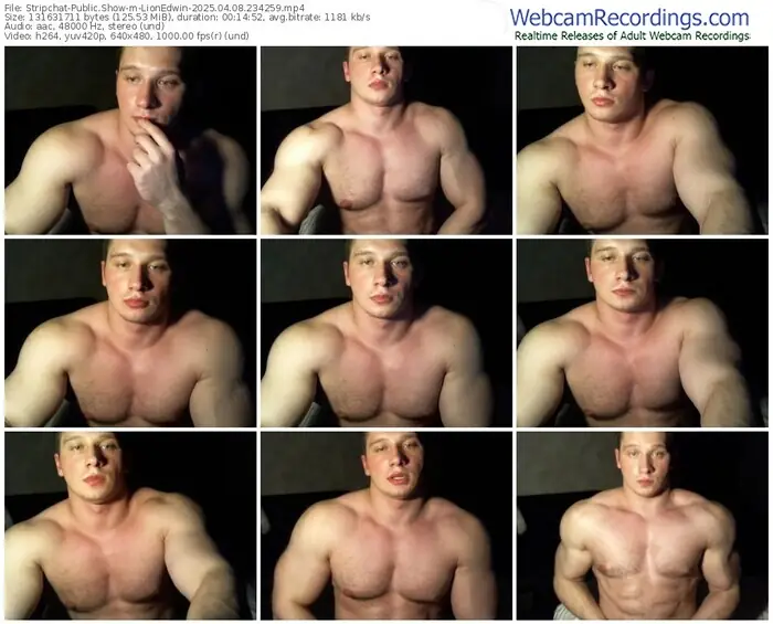 2025/04/08/stripchat-lionedwin-23-42-59