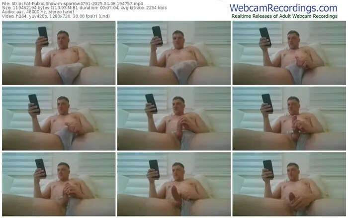 2025/04/08/stripchat-sparrow4791-19-47-57
