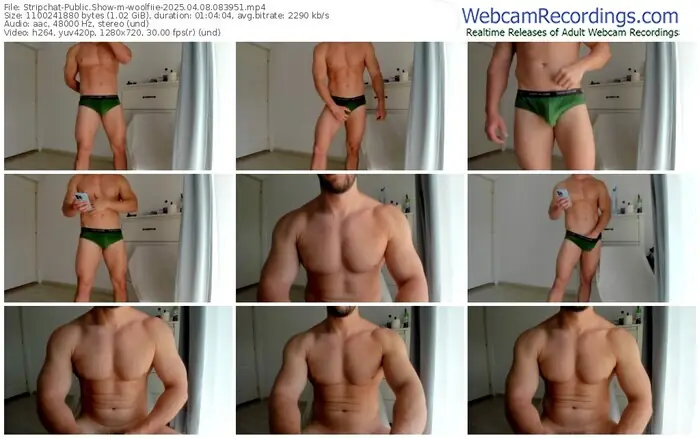 2025/04/08/stripchat-woolfiie-08-39-51