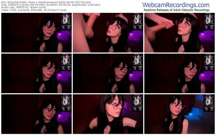 2025/04/09/stripchat-handsomepure-23-27-34