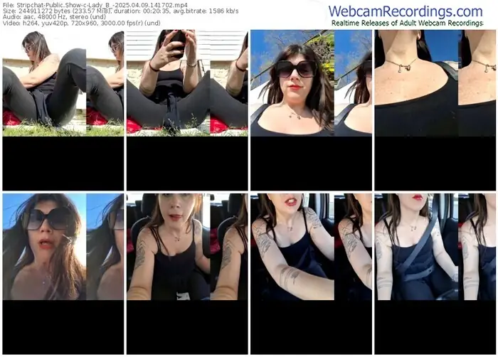 2025/04/09/stripchat-lady_b_-14-17-02