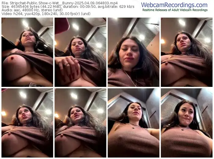 2025/04/09/stripchat-wet__bunny-06-48-03