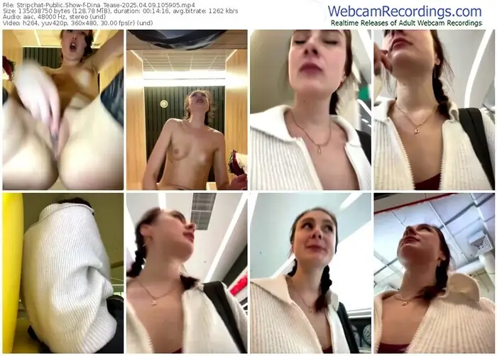 2025/04/09/stripchat-dina_tease-10-59-05