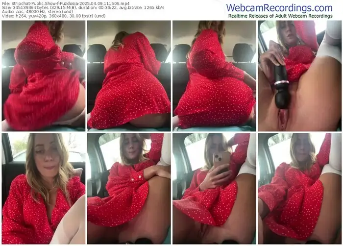 2025/04/09/stripchat-puzdosia-11-15-06