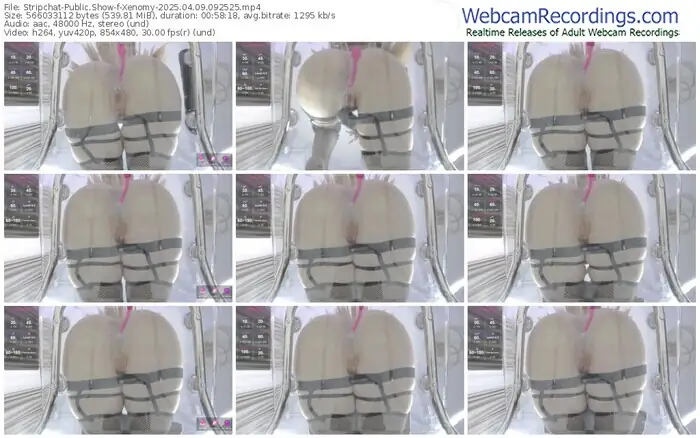 2025/04/09/stripchat-xenomy-09-25-25